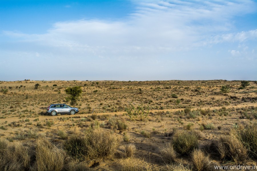 Maruti Suzuki Desert Storm