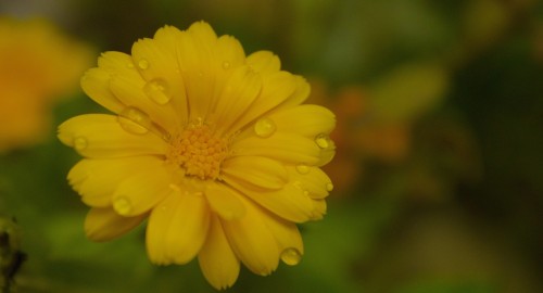 I know, I know : I am a Good Photographer