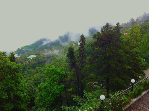Green, Serene and Beautiful